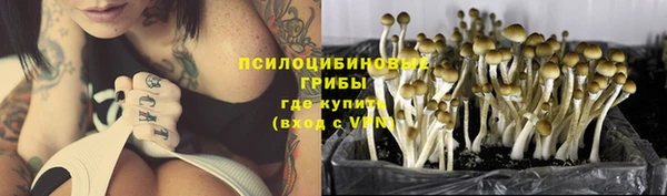 гидра Покачи
