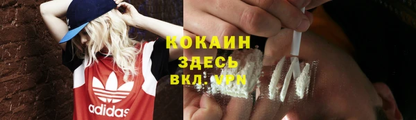 ECSTASY Белокуриха