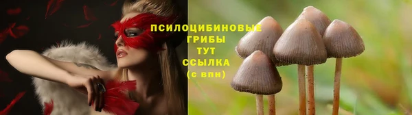 ALPHA-PVP Беломорск