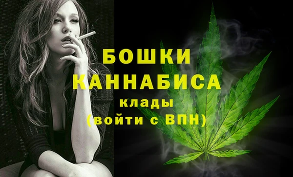 ECSTASY Белокуриха