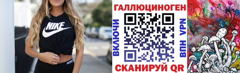 купить наркотик  Павловск  Псилоцибиновые грибы мухоморы 